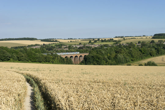Golden wheat in field with viaduct in background.