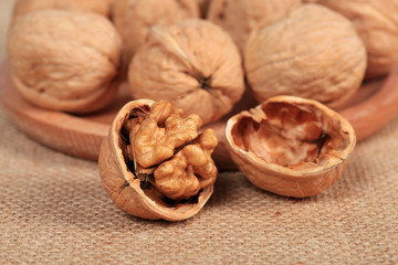 walnut