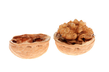 walnut