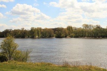 Frühling an der Unterelbe / Blick vom Altengammer Elbdeich über den Fluss