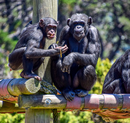 New Zealand landscapes 