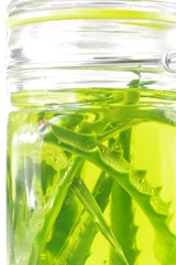  aloe leaf in juice