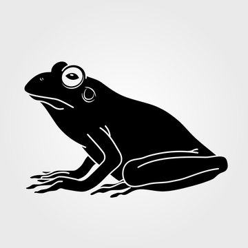 Frog icon isolated on white background.