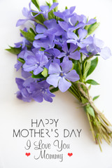 happy mother's day card. bouquet of blue flowers, a place with text