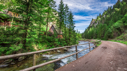 Mountain trail by the river in Tatras Mountains, Poland - obrazy, fototapety, plakaty