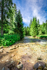 Mountain trail by the river in Tatras Mountains, Poland, Europe