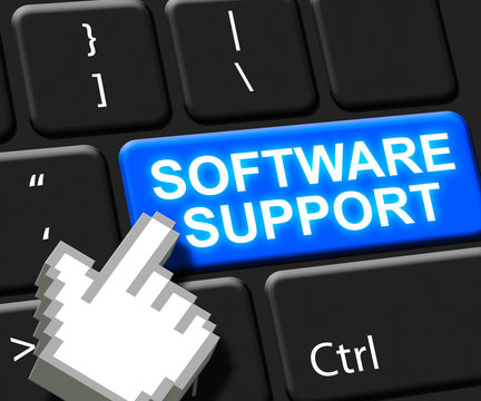 Software Support Key Shows Online Assistance 3d ILlustration