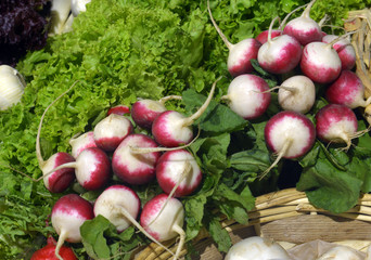 herbs and vegetables