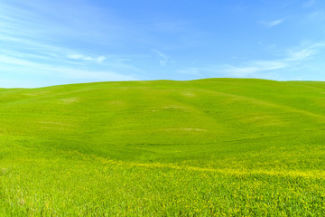 Fototapeta premium Countryside landscape in Tuscany Italy