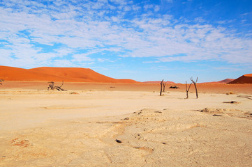 Amazing Dead Vlei in the Namib Desert in Namibia