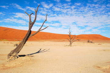 Wonderful Dead Vlei in the Namib Desert in Namibia
