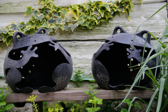 Frog Object, Friend Image