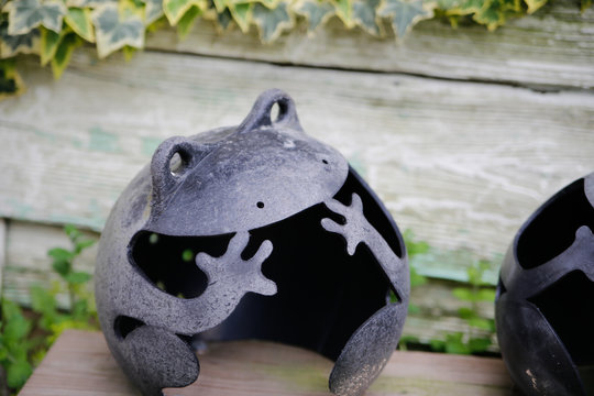 Frog Object, Friend Image