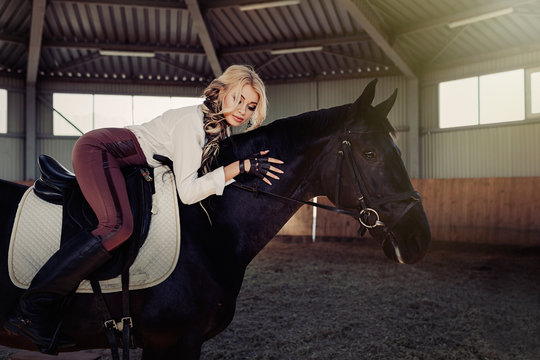 Beautiful elegant young blonde girl lies on a her black horse dressing uniform competition white blouse shirt and brown pants.