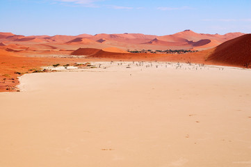 Fototapeta na wymiar Beautiful Dead Vlei in Namibia