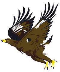 Aigle prenant son envol