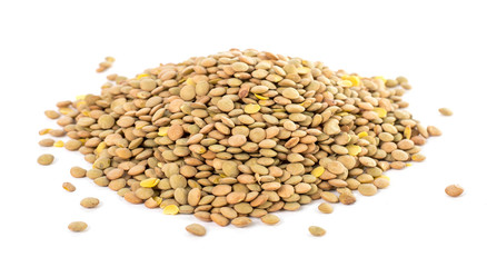 Lentil (Lens culinaris)
