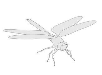 2d cartoon illustration of emperor dragonfly