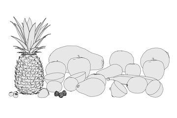 2d cartoon illustration of food collection