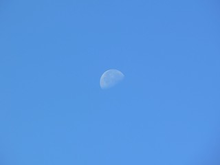 mond am Tag