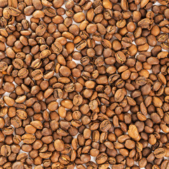 Roasted coffee beans