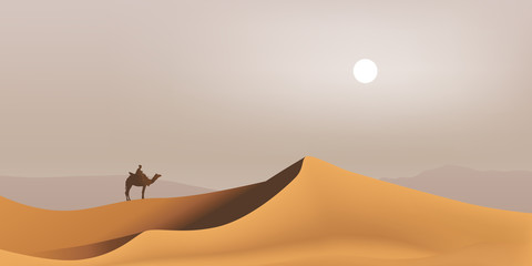 désert - Sahara - dune - Bédouin - dromadaire - paysage - Maghreb - tourisme - obrazy, fototapety, plakaty