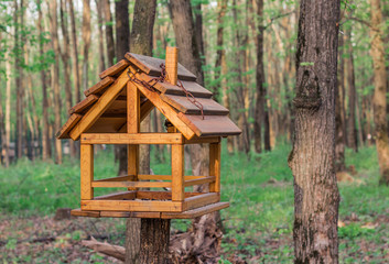 Birdhouse on a forest background