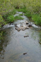 River scene in the countryside of Algarve. Vascao River, Portugal
