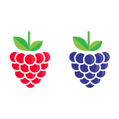 cartoon blackberry and raspberry