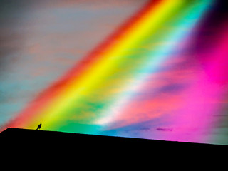 rainbow of god from heaven to bird on roof