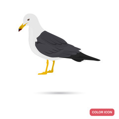 Sea gull color flat icon for web and mobile design