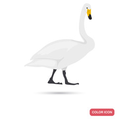 White swan color flat icon for web and mobile design