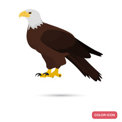 Eagle color flat icon for web and mobile design