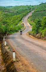 Road through the coffee plantation, Vietnam