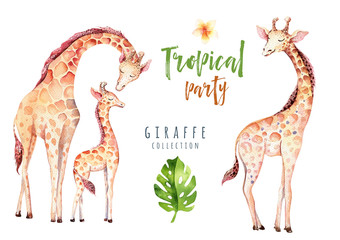 Hand drawn watercolor tropical plants set and giraffe. Exotic palm leaves, jungle tree, brazil tropic botany elements and monkeys. Perfect for fabric design. Aloha set - obrazy, fototapety, plakaty