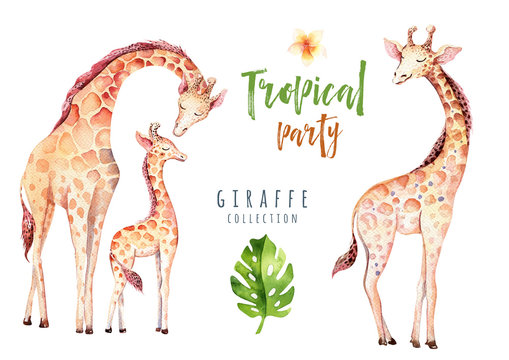 Hand drawn watercolor tropical plants set and giraffe. Exotic palm leaves, jungle tree, brazil tropic botany elements and monkeys. Perfect for fabric design. Aloha set