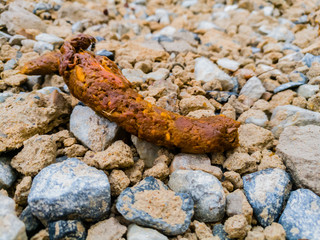 Dog feces, Dog stool on the beach, Gravel on beach, stone background on beach, Gravel on the rain background