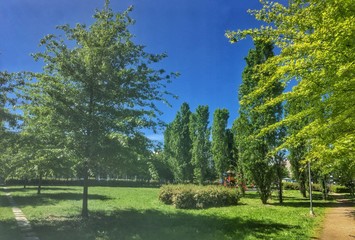 Fototapeta na wymiar giardini pubblici a Saluzzo