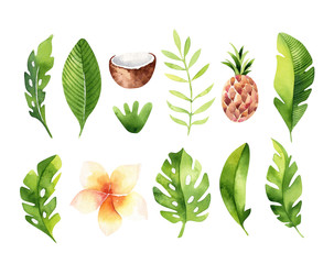 Hand drawn watercolor tropical plants set . Exotic palm leaves, jungle tree, brazil tropic botany elements and flowers. Perfect for fabric design. Aloha set © kris_art
