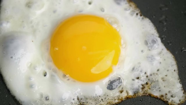 Egg in frying pan – timelapse.
