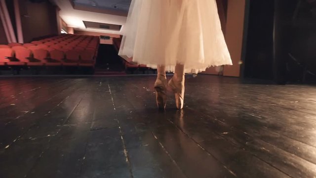 Dance performed by unrecognised ballet dancer. Close-up, steadicam. HD.