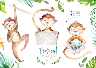 Obraz premium Hand drawn watercolor tropical plants set and monkey. Exotic palm leaves, jungle tree, brazil tropic botany elements and monkeys. Perfect for fabric design. Aloha set,