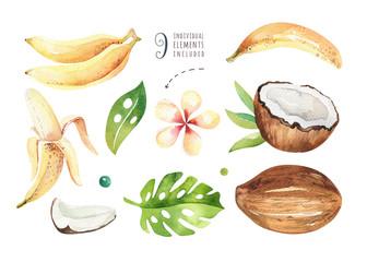 Hand drawn watercolor tropical plants set . Exotic palm leaves, jungle tree, brazil tropic botany elements and flowers. Perfect for fabric design. Aloha set