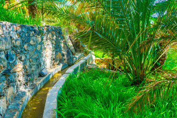 View of an oasis with typical falaj irrigation system in the Misfat al abriyeen village in Oman.