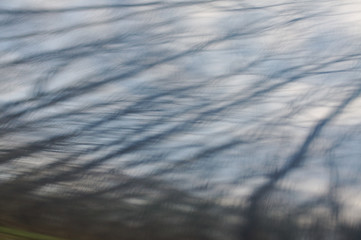Trees reflected on metal