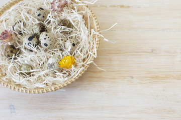 Organic quail eggs photo