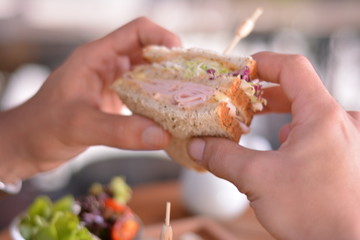 Turkey Sandwich