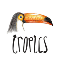Raster conceptual postcard with a realistic hand drawn toucan head augmented with a funny curly sign. Tropical and biological themes, design element, printed goods.