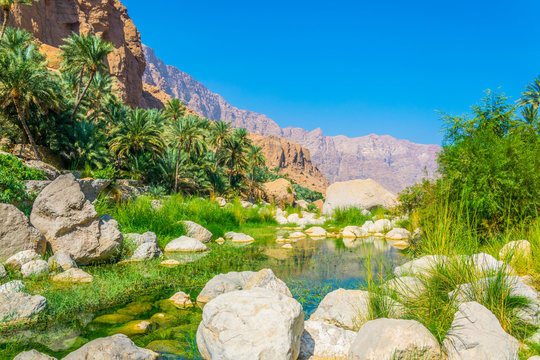 Lagoon with turqoise water in Wadi Tiwi in Oman.