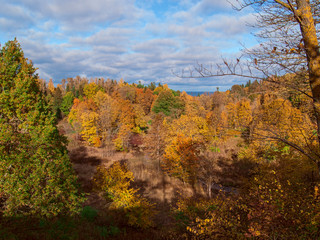 Fototapeta premium Autumn in park. Oru park, Toila, Estonia